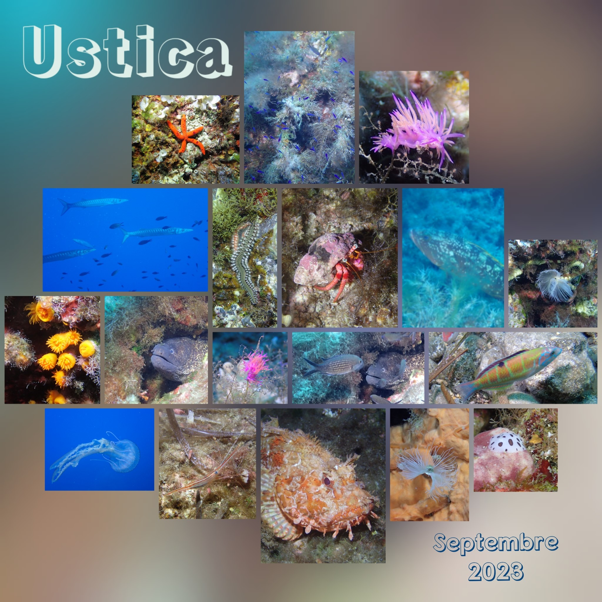 Ustica - Septembre 2023