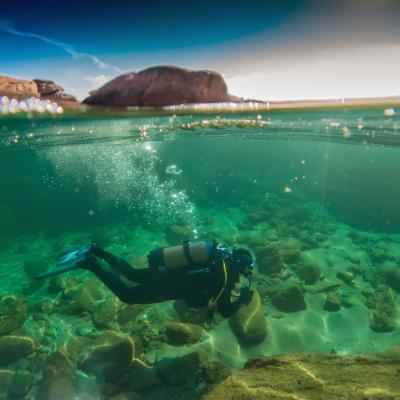 Plongée en Bretagne